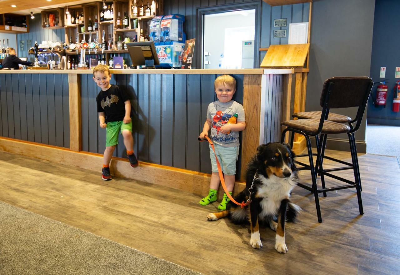 Newperran Holiday Park New Quay エクステリア 写真